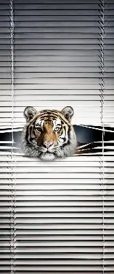 Rollo lichtundurchlässig Tiger