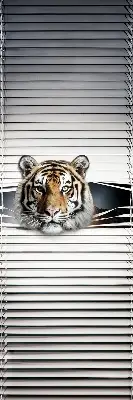 Rollo lichtundurchlässig Tiger