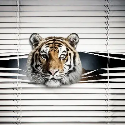 Rollo lichtundurchlässig Tiger