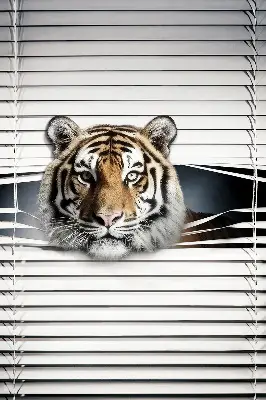Rollo lichtundurchlässig Tiger