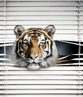 Rollo lichtundurchlässig Tiger
