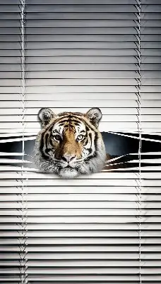 Rollo lichtundurchlässig Tiger