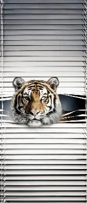 Rollo lichtundurchlässig Tiger