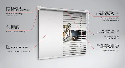 Rollo lichtundurchlässig Tiger