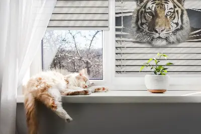 Rollo lichtundurchlässig Tiger