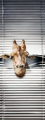Fenster rollo Giraffe
