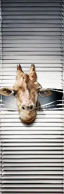 Fenster rollo Giraffe