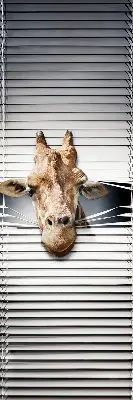 Fenster rollo Giraffe