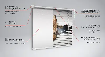 Fenster rollo Giraffe
