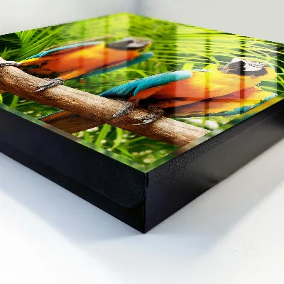 Schlüsselkasten modern Tropische Vögel