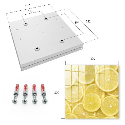 Schlüsselschrank Zitronenscheiben