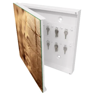 Schlüsselkasten modern Historische Skulptur