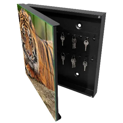 Schlüsselschrank Tiger ruht