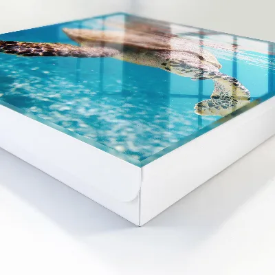 Schlüsselkasten modern Unterwasserwelt