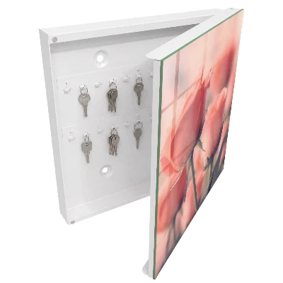 Schlüsselschrank Zarte Blüten