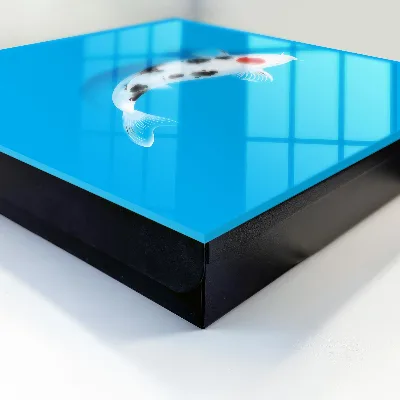 Schlüsselkasten modern Koi-Karpfen