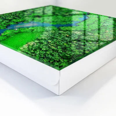 Schlüsselkasten modern Grüne Wälder