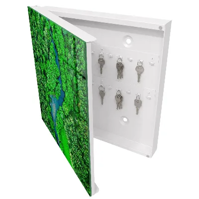 Schlüsselkasten modern Grüne Wälder