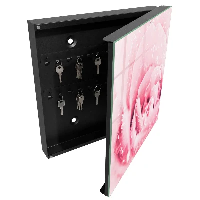 Schlüsselschrank für den Flur Rosenzartheit