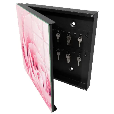 Schlüsselschrank für den Flur Rosenzartheit