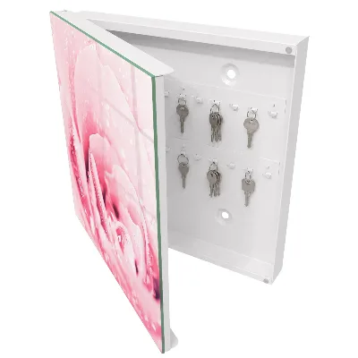 Schlüsselschrank für den Flur Rosenzartheit