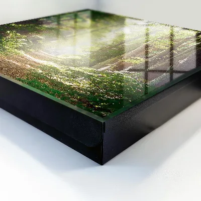 Schlüsselkasten modern Waldlandschaft