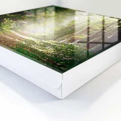 Schlüsselkasten modern Waldlandschaft