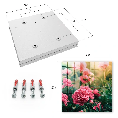 Schlüsselschrank für den Flur Rosa Pfingstrosen