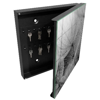 Schlüsselschrank Löwenzahnsamen