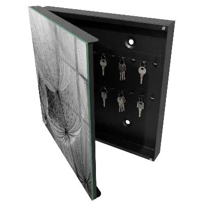 Schlüsselschrank Löwenzahnsamen