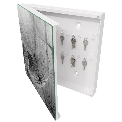Schlüsselschrank Löwenzahnsamen