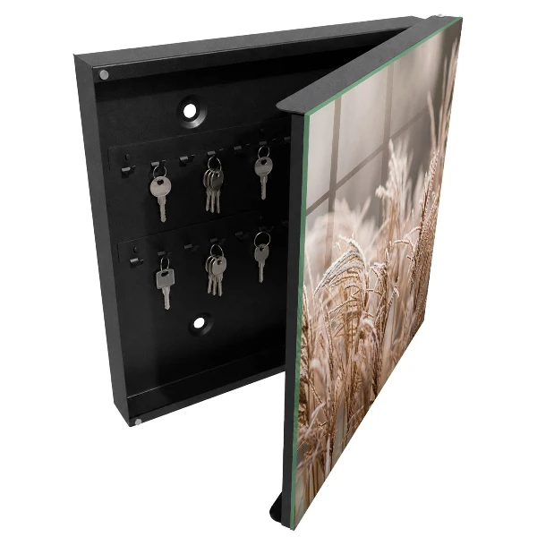 Schlüsselschrank Gefrorenes Gras