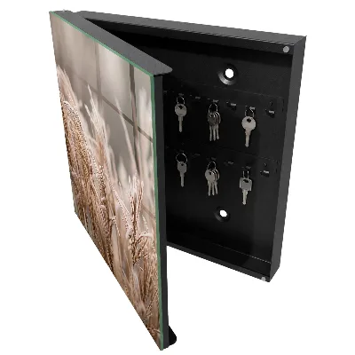 Schlüsselschrank Gefrorenes Gras