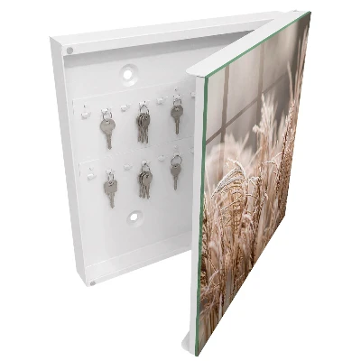 Schlüsselschrank Gefrorenes Gras