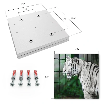 Schlüsselkasten modern Weißer Tiger