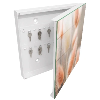 Schlüsselschrank für den Flur Die Subtilität der Natur