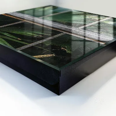 Schlüsselschrank für den Flur Grüne Harmonie