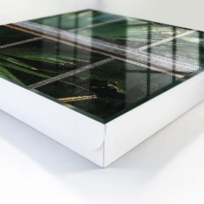 Schlüsselschrank für den Flur Grüne Harmonie