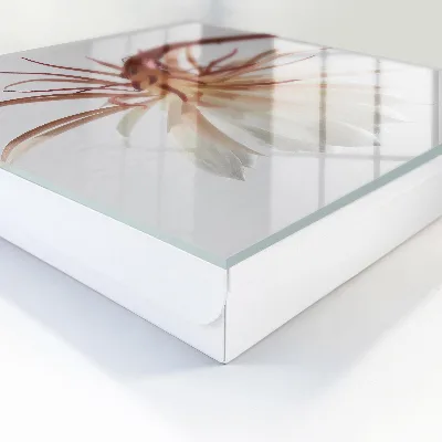 Schlüsselschrank Die Eleganz der Natur