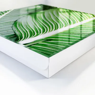 Schlüsselkasten modern Das Grün der Natur
