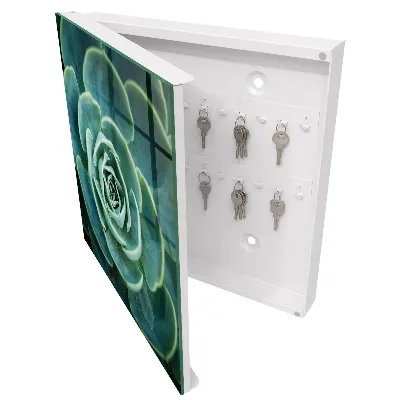 Schlüsselschrank Grüne Rosette