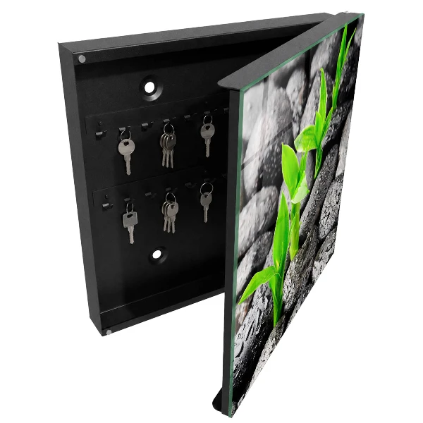Schlüsselschrank für den Flur Grüne Natur
