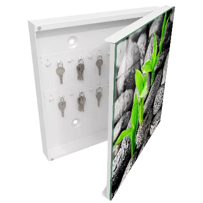 Schlüsselschrank für den Flur Grüne Natur