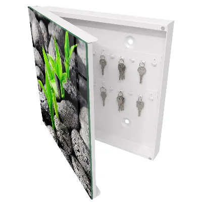 Schlüsselschrank für den Flur Grüne Natur