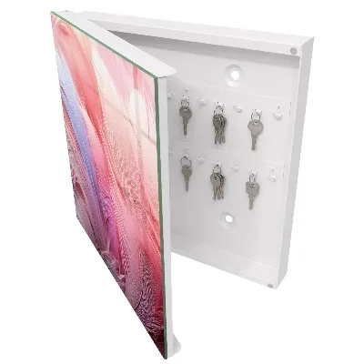 Schlüsselkasten modern Wunderschöne rosa Federn