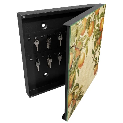 Moderner Schlüsselkasten Design Orangen Natur