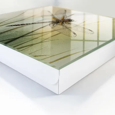 Schlüsselkasten modern Libellennatur