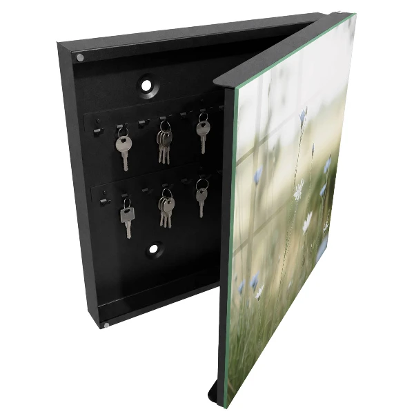Schlüsselschrank Zarte Blüten
