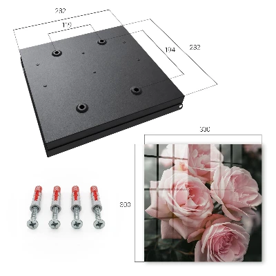 Schlüsselschrank für den Flur Rosa Rosen