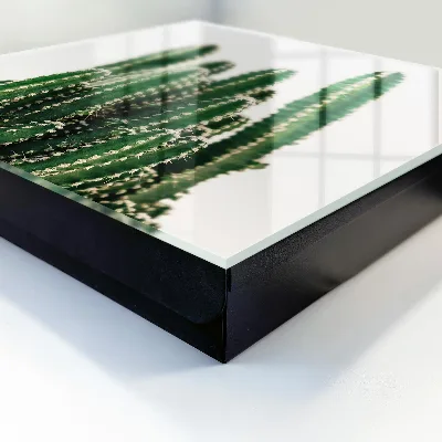 Schlüsselschrank Grüne Kakteen